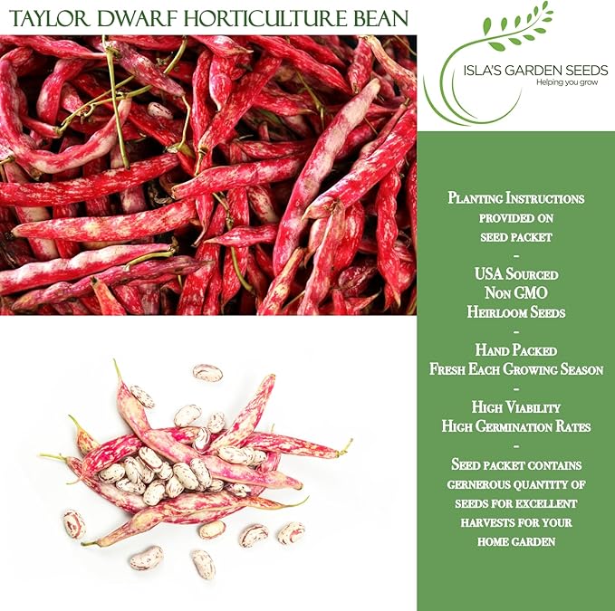 Taylor Dwarf Horticulture Bush Bean Seeds (Phaseolus vulgaris) – 25+ Non-GMO Heirloom Cranberry Bean Seeds, 85% Germination Rate, by Isla’s Garden Seeds, Great for Cooking & Small Gardens