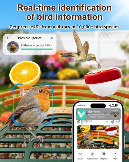 Smart Bird Feeder with Camera, Solar Powered Wireless Birds 2K HD Camera with APP Control, Night Vision, Motion Detection Alerts, IP66 Outdoor Birdfeeder for Backyard Garden Bird Watching, Green