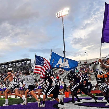 XIFAN Premium Louisiana State Flag 3x5 ft Outdoor, Double Sided Embroidered Pattern, Heavy Duty 210D Nylon LA Flags, the Strongest Longest Lasting for Outside with Sewn Stripes/Brass Grommets