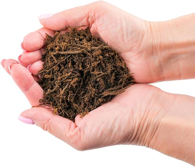 Premium New Zealand Tree Fern by GARDENERA - Orchid and Epiphytal Plants Growing Medium and Reptile Substrate - 1 Quart Bag