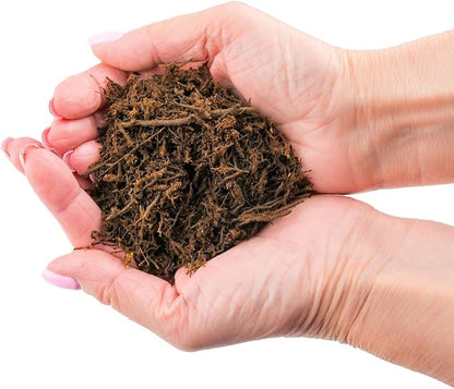 Premium New Zealand Tree Fern by GARDENERA - 10 Quart - Orchid and Epiphytal Plants Growing Medium and Reptile Substrate (2 Bags of 5 Quart)