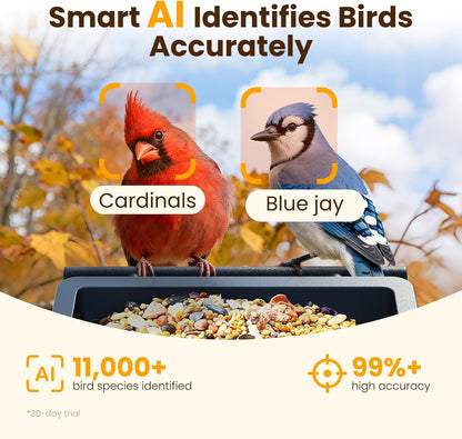 Metal Smart Bird Feeder with Camera, 2.5K UHD Bird Camera AI Identifies 11,000+ Bird's Species, Real-time Bird's Videos & Pictures, Solar Powered Wireless Outdoor, Ideal Gift