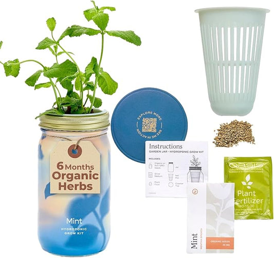 Modern Sprout Mason Garden Jar - Self-Watering Hydroponics Growing System Kit with Organic Herb Seeds - Jar Planter for Indoor Herb Garden - Seed Starter Kit - Home Decor & Gifting - Mint