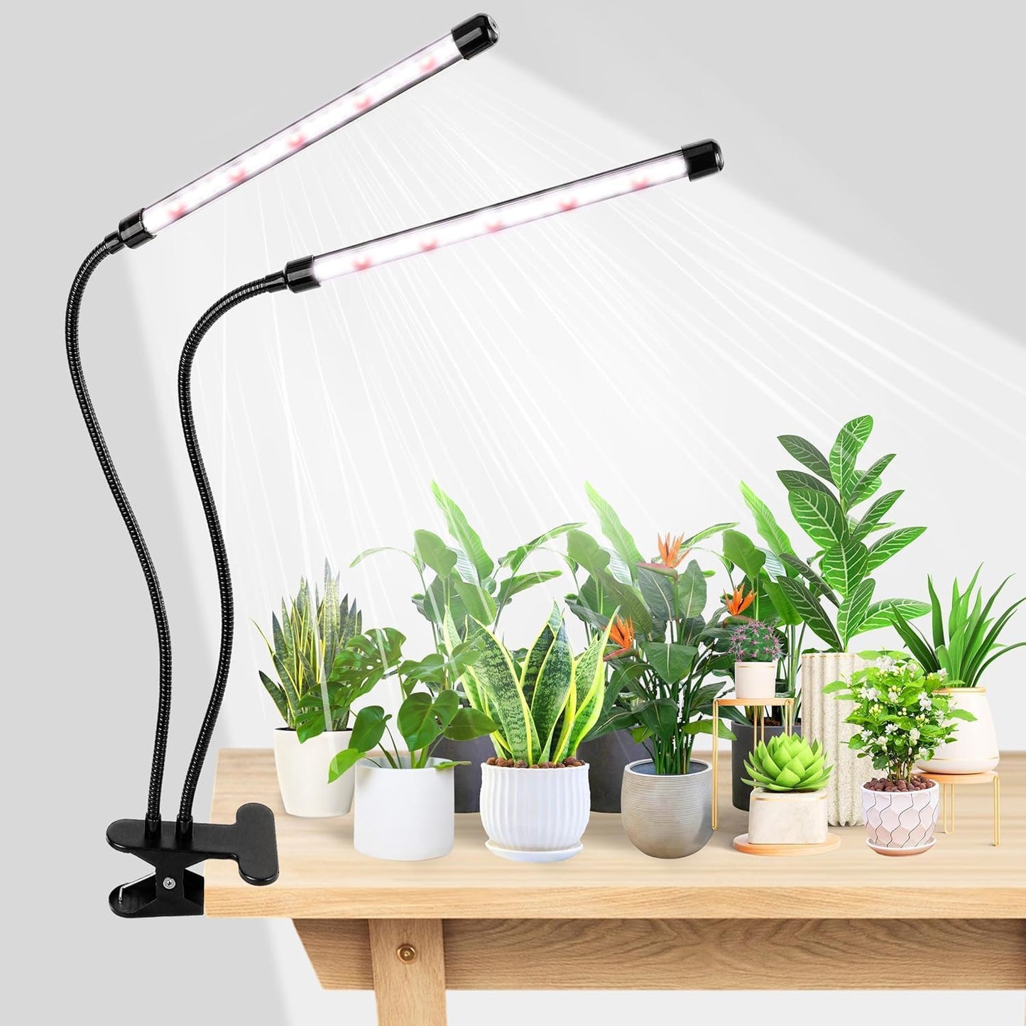 Grow Light 6500K Full Spectrum Plant Grow Lights 84 LED Plant Light with Clip Grow Lamp for Indoor Plants Growing Lamps（2PCS）