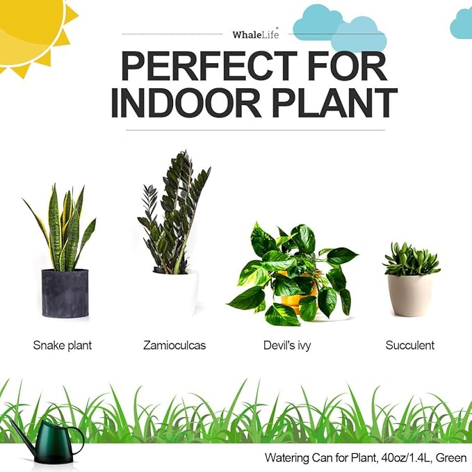 WhaleLife Indoor Watering Can for House Bonsai Plants (1.4L, Green)