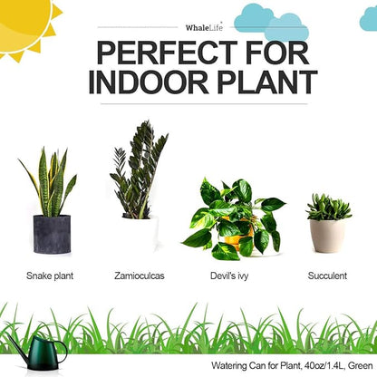 WhaleLife Indoor Watering Can for House Bonsai Plants (1.4L, Green)