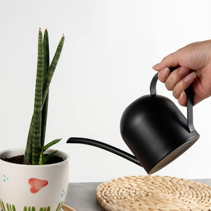 IMEEA Small Watering Can for Indoor Plants Stainless Steel Watering Can with Long Spout 15oz/450ml, (Black)