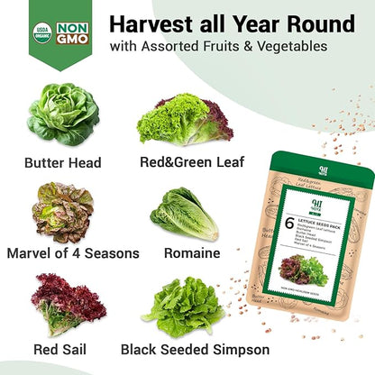 Salad Greens Seed Pod Kit, Grow Anything Kit for All Hydroponics Growing System, 14 Pods with 600+ Seeds of Red&Green Leaf/Romaine/Butter Head/Black Seeded Simpson/Red Sail and Marvel of 4 Seasons