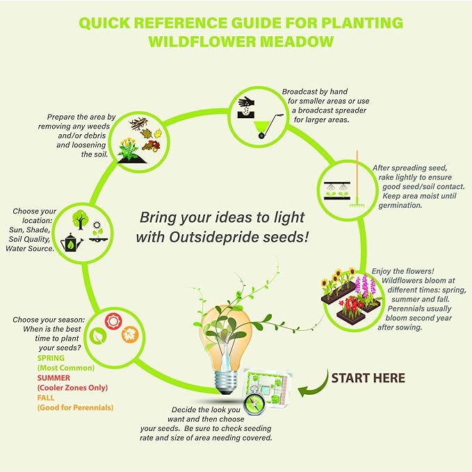 Outsidepride Penstemon Seeds - 1/4 Lb. Perennial, Drought-Tolerant & Pollinator Friendly, Strictus Rocky Mountain Wildflower Seeds for Planting with Vibrant Blue-Violet Blooms, Ideal for Xeriscaping