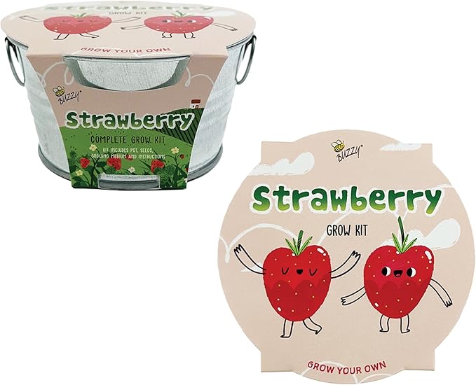 BUZZY Seeds Mini Basin Gardening Kit with Strawberry Seeds for Planting, Flowering Fruit Starter Set, Indoor Plants for Kids and Adults, DIY Plant Project, Children's Birthday Present, Party Favor