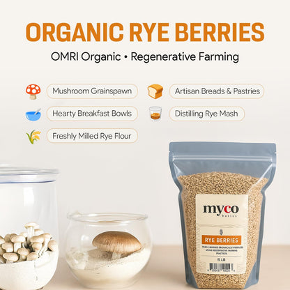 Rye Berries for Mushroom Spawn - Organic, Triple Washed Rye Grain to make Mushroom Grainspawn by Mycology Basics - 5 lbs
