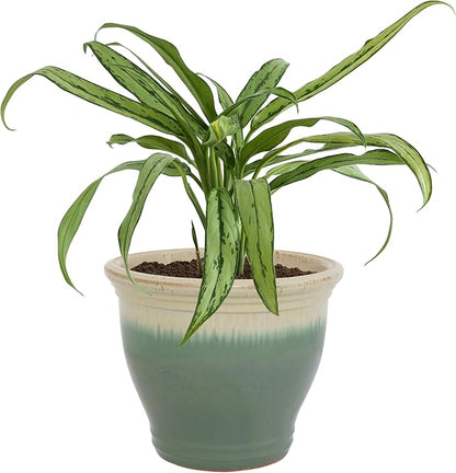 Sunnydaze Large Ceramic Plant Pot - Round Outdoor Glazed Ceramic Planter Pot with Drainage - Studio - Seafoam - 14.5"