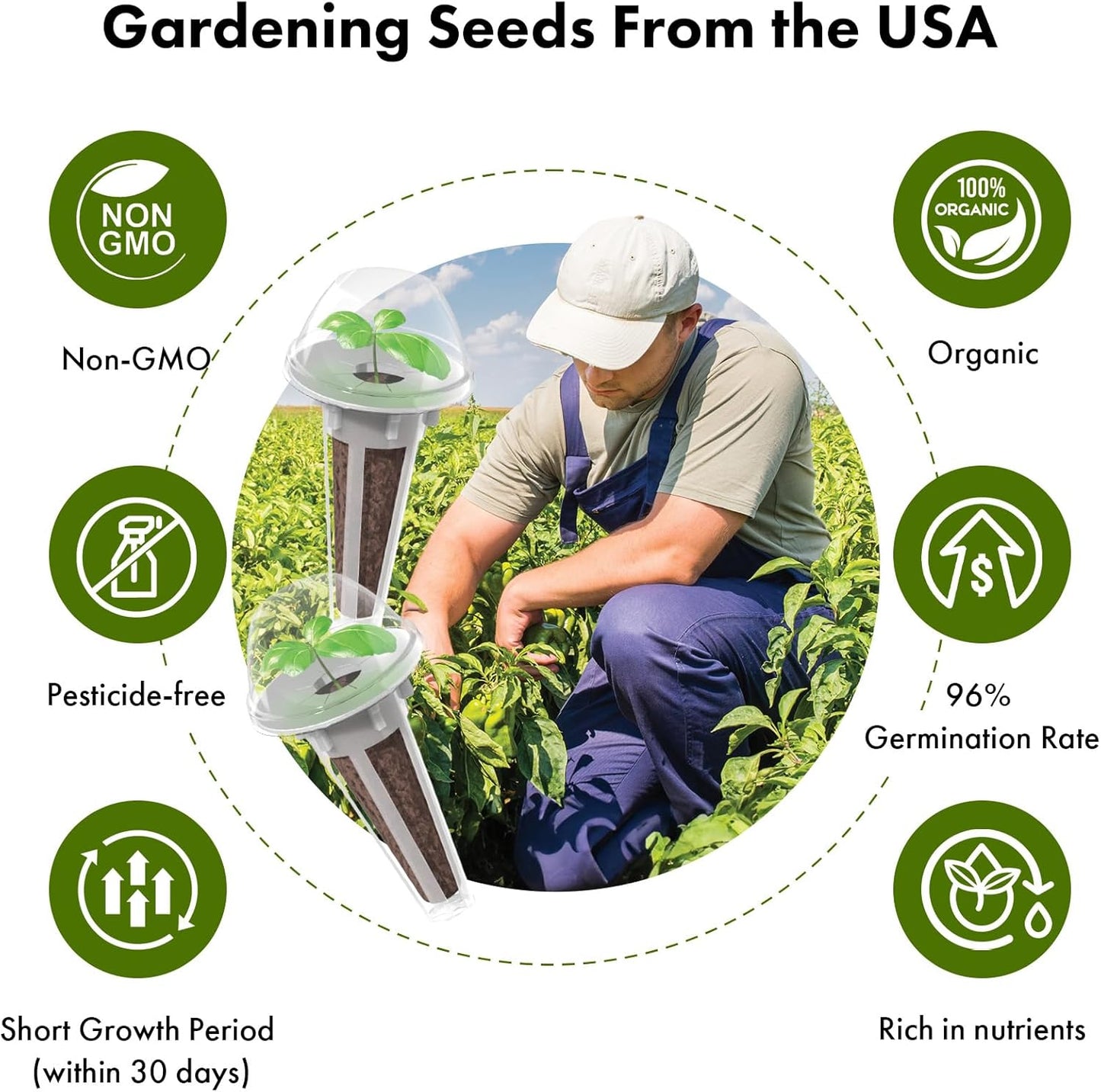 LYKOCLEAN Low-calorie Salad Seed Pods for AeroGarden, Ahopegarden, iDOO Hydroponics Growing System, 350 Seeds+ Including American Fast Lettuce, Buttercrunch Lettuce, Red Tomato, Golden Tomato (7-Pods)