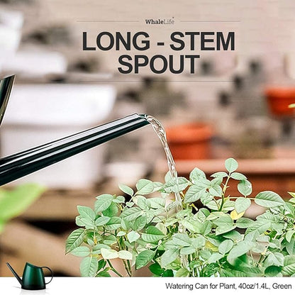 WhaleLife Indoor Watering Can for House Bonsai Plants (1.4L, Green)