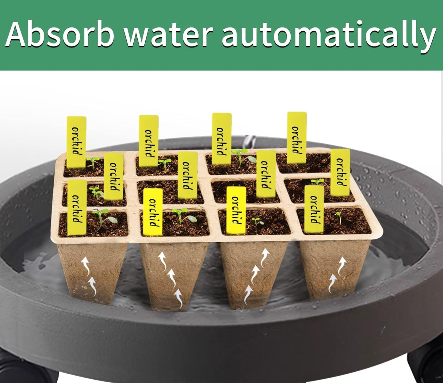 SYITCUN 240 Cells Seed Starter Tray, 20 Pack Biodegradable Seed Starter Kit, Peat Pots for Seedlings with 200 Plant Labels, 2 Seed Planting Tool and 1 Spray Bottle