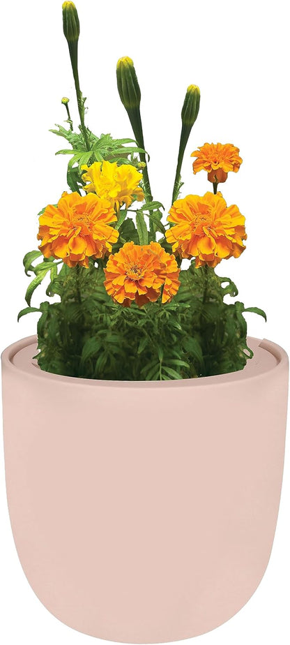 Hydroponic Growing Kit, Self-Watering Garden Starter Kit with Pink Ceramic Pot and Seeds, (Marigold)