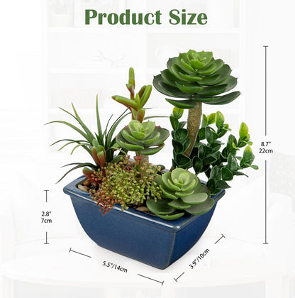 Small Faux Plant Assorted Fake Succulents Plants with Glazed Ceramic Pot Faux Succulents Arrangement Cement Potted Desk Plants Small Fake Plants for Home Table Office Bathroom Shelf Living Room Decor