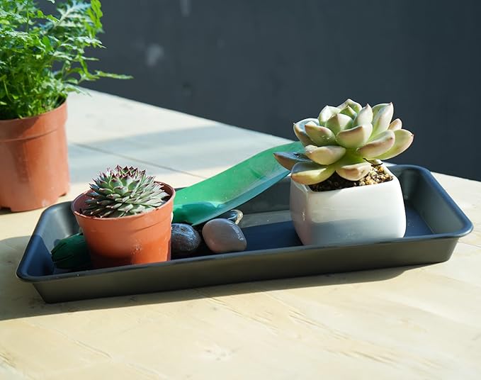 Plant Saucer Tray, Heavy Sturdy Long Narrow Plastic Plant Saucers Drainage Trays for Indoors No Holes, Plant Drip Trays for Pots Base, Seed Starter Growing Tray (6.5 X 13 inch, Black)