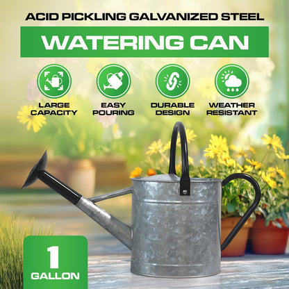 Plexon 1 Gallon Metal Watering Can Outdoor, Flower Plant Gardening Garden Large Galvanized Watering Can Pot Pitcher, Steel Black Handles and Removable Spray Spout