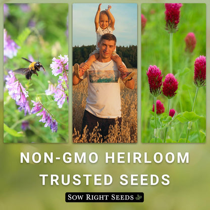 Sow Right Seeds - Winter Rye Seed for Planting - Cover Crops to Plant in Your Home Vegetable Garden - Enriches Soil and Adds Organic Matter - Helps Erosion - Non-GMO Heirloom Seeds - Gardening Gift