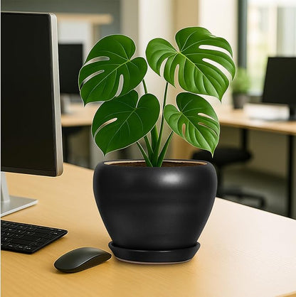 Deep Dream 8 Inch Plant Pot - Ceramic Pots for Plants with Drainage Hole and Trays, Modern Round Flower Pot, Planters for Indoor Outdoor Plants, Home Garden Decor, Black