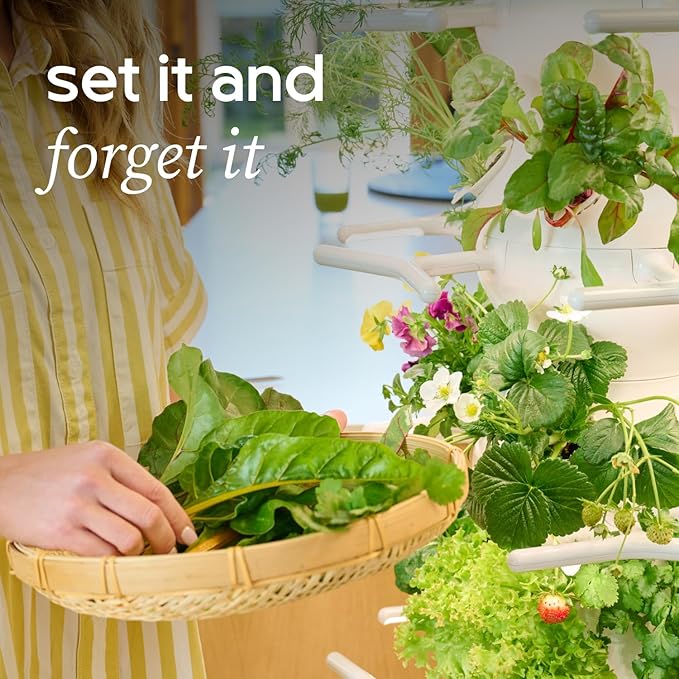 New! Lettuce Grow Farmstand Nook | 20 Plant Hydroponic System | Self-Watering Indoor Vertical Garden Planter Tower w/Pump, BPA-Free Food Grade | 4ft 7in | Made in USA…