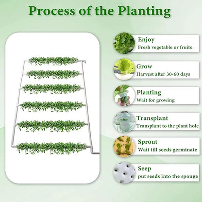Wall-Mounted Hydroponic Grow Kit, 1 Layers 54 Plant Sites 6 Food-Grade PVC-U Pipes Hydroponics Planting System with Water Pump, Pump Timer, Nest Basket and Sponge for Leafy Vegetable