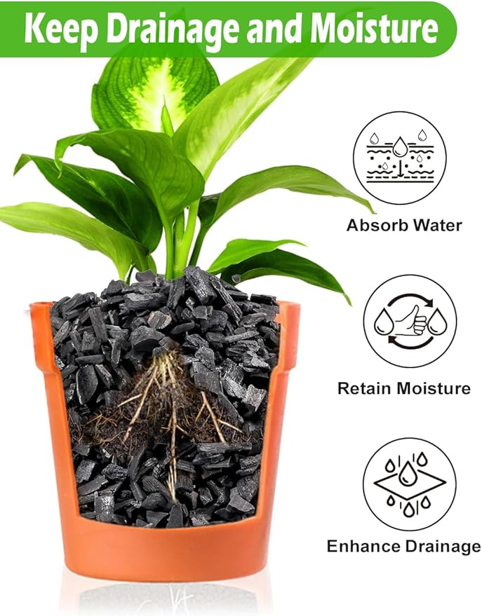 TOYPOPOR Horticultural Charcoal for Indoor Plants (3 Quarts) Hardwood Potting Soil Amendment Helps Improve Drainage for Orchids, Succulent, Cactus, Terrariums, and Gardening