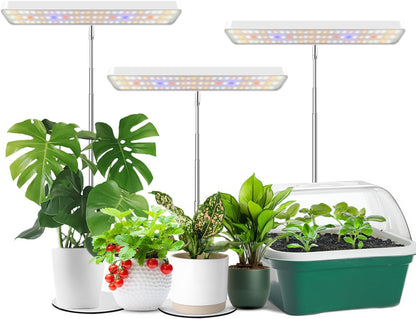 Wiaxulay Grow Lights for Indoor Plants, 78 LEDs Full Spectrum Plant Grow Light, Desk Grow Light with Auto Timer 6/12/16 Hrs, 3 Lighting Modes, 5 Dimmable Levels, Height Adjustable 7.8"-26", 3 Pack