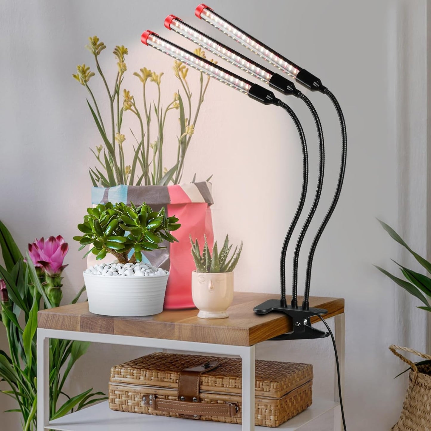 Gamechanger! 27W Power Home Plug, NOT 10W Adapter, FECiDA 3Head Clip Grow Lights for Seed Starting with Timer, Enough Bright Like Sun Full Spectrum Grow Lights for Indoor Plants, Bonsai, Seedlings