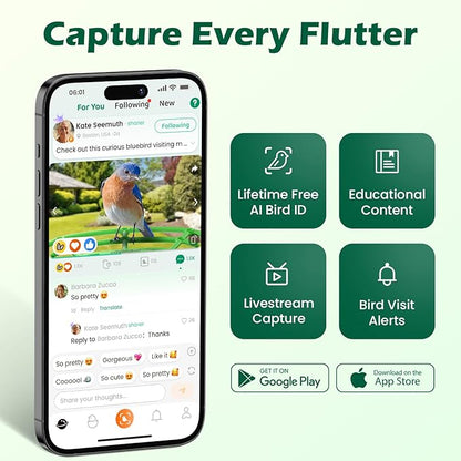 Bird Feeder with Camera, Smart Bird House with Cam for Outside, 2K HD Auto Record Video, AI Identification & Instant Alerts, Solar Powered, Bird Watching Gifts for Family and Birdlovers