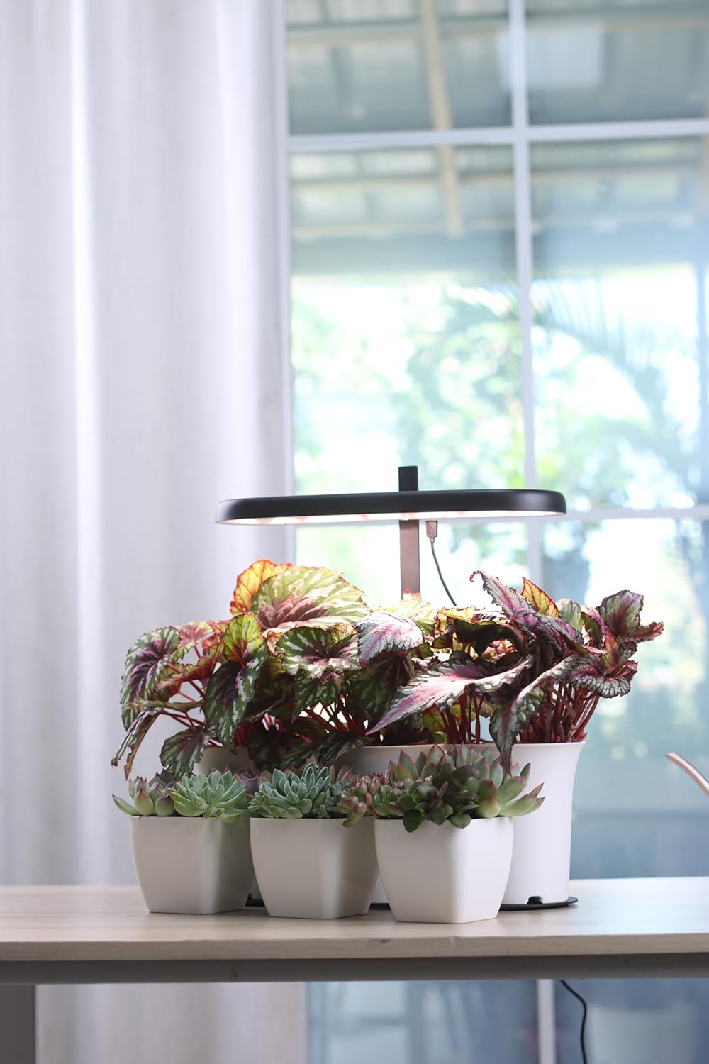 Indoor Garden Led Grow Light, 20W Full Spectrum LED Grow Lamp for Indoor Plants with Intelligent Controller, Height Adjustable, Ideal for Home Desk Plant Lighting (Black, Metal Base)