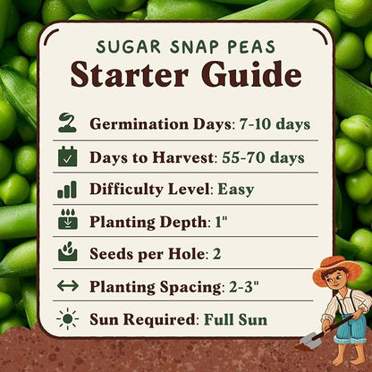 Seedboy Organic Sugar Snap Pea Seeds for Planting Indoor and Outdoor, Non-GMO and USDA Certified Vegetable Seed Packet for Hydroponic Garden Indoor or Planting Outdoors (Sugar Snap Peas)