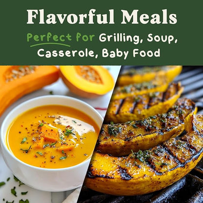 Seedboy Organic Summer Squash Seeds for Planting Indoor and Outdoor, Non-GMO and USDA Certified Vegetable Seed Packet for Hydroponic Garden Indoor or Planting Outdoors (Crookneck Squash)