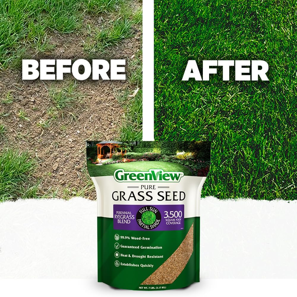 GreenView Pure Grass Seed Perennial Ryegrass Blend, 3 lb. Bag – Covers up to 1,500 sq. ft.