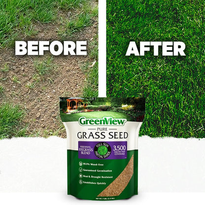 GreenView Pure Grass Seed Perennial Ryegrass Blend, 20 lb. Bag – Covers up to 10,000 sq. ft.