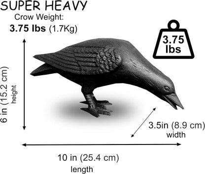 NACH Cast Iron Crow Statue, Head Down Raven, Large Garden Statues, Crow Garden Sculpture, Bird Figurines Home Decor, Crow Decor, Raven Decor, Black Bird Statue, 10 x 3.5 x 6 inches, JS-90-7117