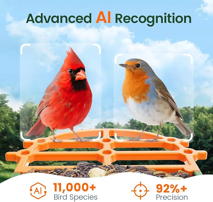 Bird Feeder with Camera 2.5K HD Live Video, AI Bird Identifier, 5MP Photos, 7W Solar Powered & 4000mAh Battery for Wall/Mount/Hang (Green)