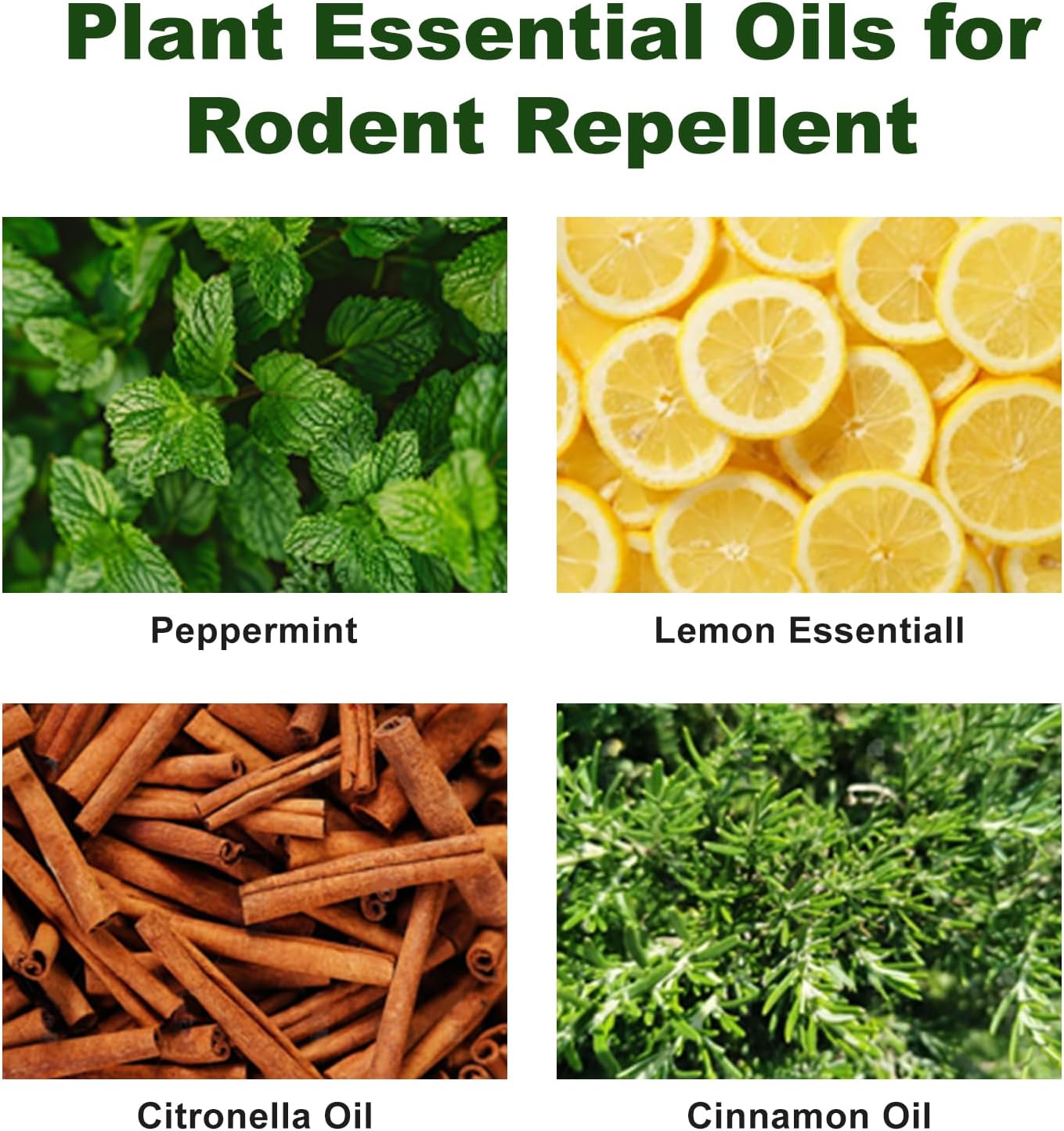 Peppermint Oil Rodent Repllent (80 Pack)
