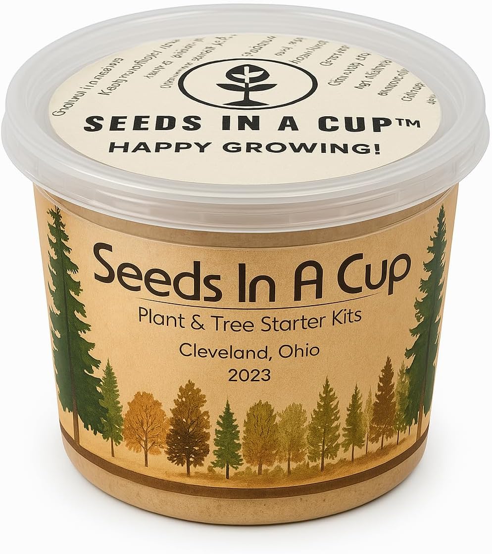 Seeds In A Cup® Sugar Maple Tree Grow Kit – Indoor/Outdoor Seed Starter, Grow Your Own Maple Tree from Seed, Educational Gift for Kids & Adults, Easy Planting Kit