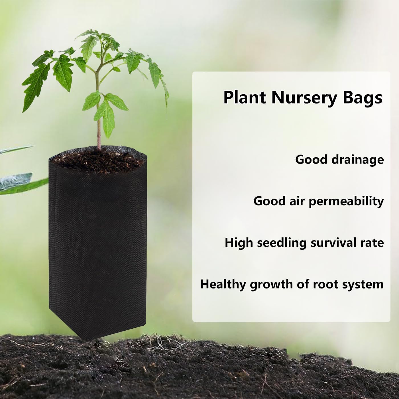 Belit 50 Pcs 10.2" H Deep Nursery Grow Bags, Non-Woven Plants Pots Container for Starting Rooted Plants Vegetable, Flower, Seedling Tree, Black