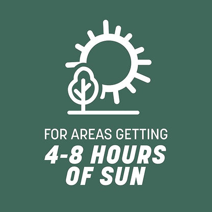 Pennington Kentucky 31 Tall Fescue Penkoted Grass Seed 3 lb