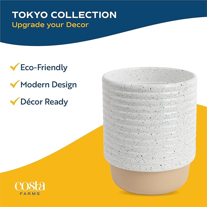 Costa Farms Money Tree Live Plant | 12-16 Inches Tall Bonsai | Easy to Grow Indoor Houseplant in Plant Pot | Home, Office, or Room Decor | Birthday, Housewarming Gift