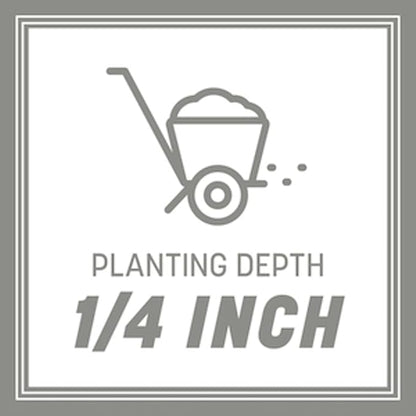 Pennington Contractors Grass Seed Mix Central 20 lb