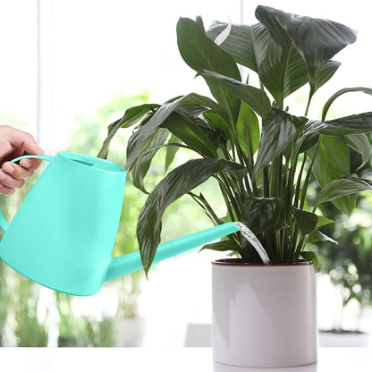 Plastic Watering Can - 1/2 Gallon - Turquoise