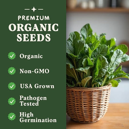 Seedboy Organic Spinach Seeds for Indoor Gardening or Planting Outdoors, Non-GMO and USDA Certified Vegetable Seed Packets, 350 Seeds/4 Grams (Bloomsdale Spinach)