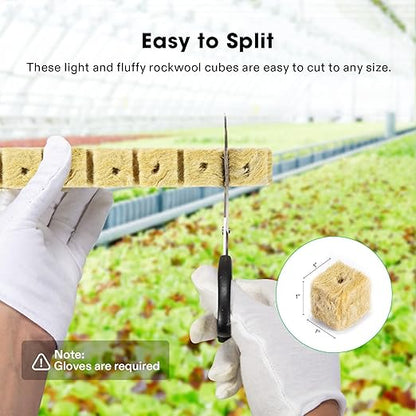 VIVOSUN 1 Inch Rockwool Cubes, Grow Cubes for Hydroponics, Cuttings, Cloning, Plant Propagation, Seed Startling, 2 Sheets 100 Plugs