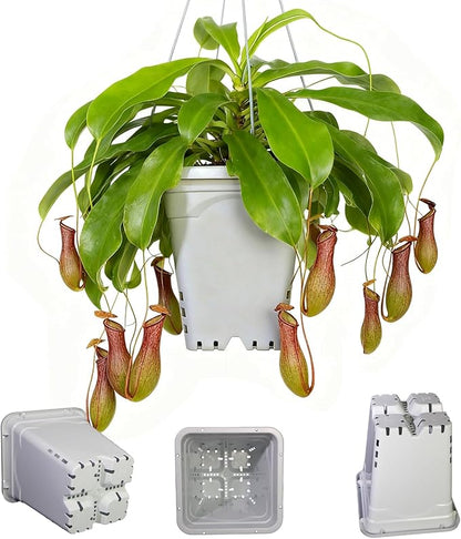 HG9X9SW 9"x9" Square Grayish-White Light-Blocking Plastic Planter with Hanging Holes, Hydroponic Side Holes, Indoor/Outdoor, 10" Tall, Pack of 24