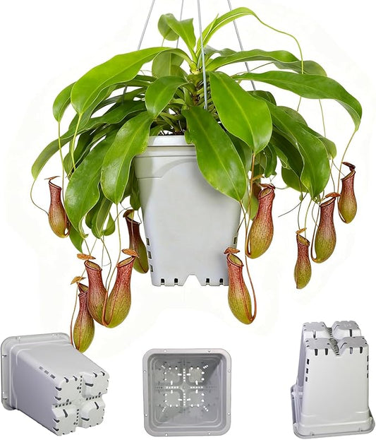 HG9X9SW 9"x9" Square Grayish-White Light-Blocking Plastic Planter with Hanging Holes, Hydroponic Side Holes, Indoor/Outdoor, 10" Tall, Pack of 24