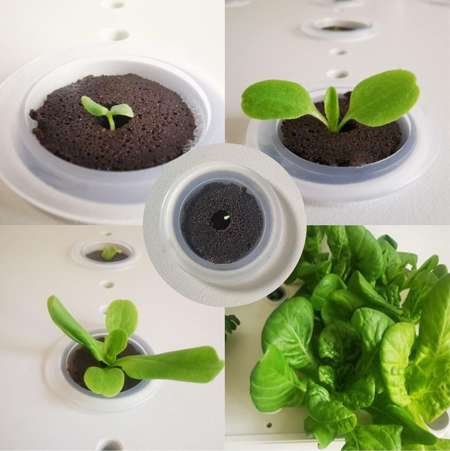 Grow Sponges 60 Pack, Hydroponics Sponge Compatible with Aerogarden, iDOO